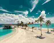 熱帯サムネイル