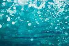 水泡サムネイル