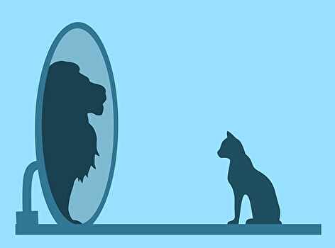 鏡を見る猫。
