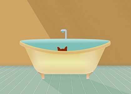 お風呂に隠れるイヌ、ネコ