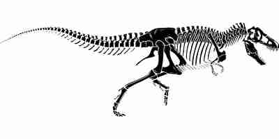 絶滅した恐竜の骨