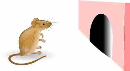 ネズミと鼠の穴